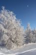 winter evening