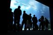 people looking at big aquarium
