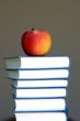 apple on a books