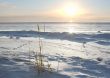 cold sunset