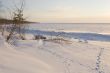 frozen sea