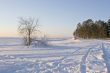frozen coast