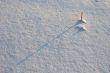 snow