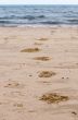 footprints on sand