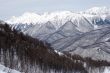 Caucasus