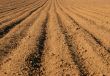 Ploughed Field