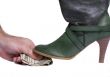A Paid Boot 2