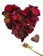 Broken Love 2
