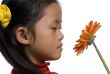 Looking at a flower