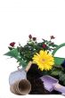 Gardening Tools 4
