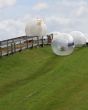 Zorbs