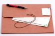 Brown Folder 3