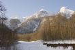 forest and mountains