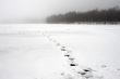 footprints on snow lake