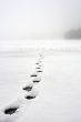 walking on water
