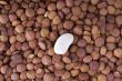 beans