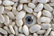 human eye and white haricot beans
