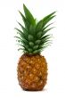 pineapple 5