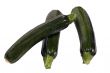Vegetable Series (zucchini)