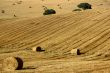 Hay bales in Alentejo