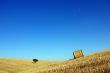 Plain of the Alentejo