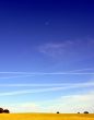 Plain of the Alentejo