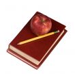 Education Series (apple and book 2)