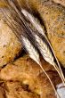 Bread Series (Wheat and bread macro)