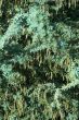 nature texture