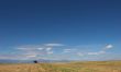 desert landscape with lone tree