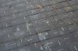 wood pavement