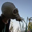 smell through gas-mask