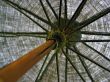 old umbrella