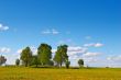 summer day