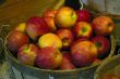 Basket of Apples
