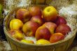 Basket of Apples