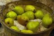 Pears on basket