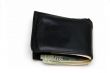 Wallet with money