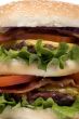 Hamburger Series (close up bacon cheeseburger)