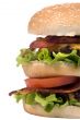 Hamburger Series 011
