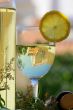 White wine of the alentejo region