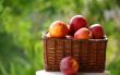 Small hamper of fruit