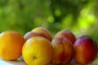 Peachs and orange