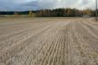 fall field