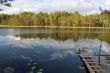 forest lake