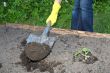 garden work