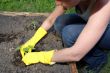 garden work