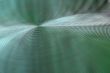 spiral