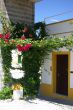 House in Malagueira Quarter