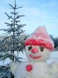 Snow man